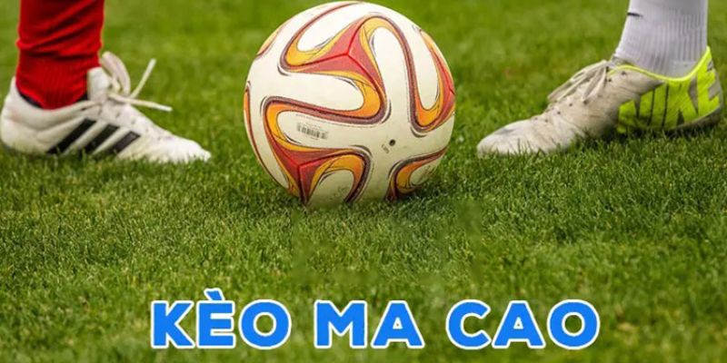 Ưu điểm vượt trội khiến kèo Macau trở thành lựa chọn hàng đầu 